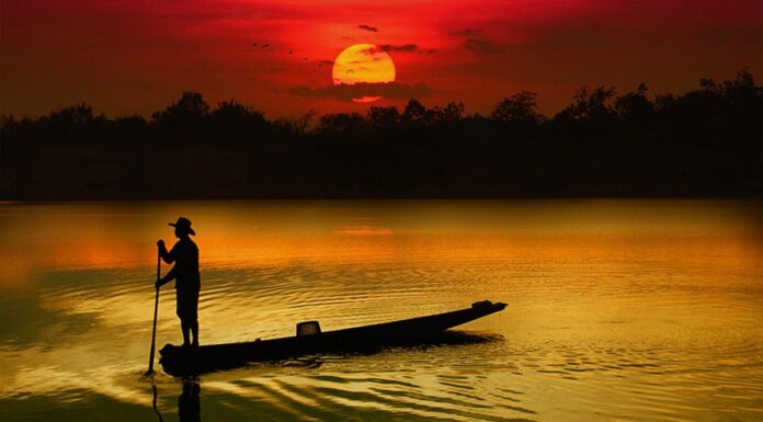 Yuksak poeziya va alp odam