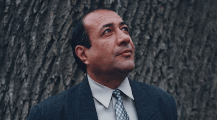 Daraxtga aylangan odam