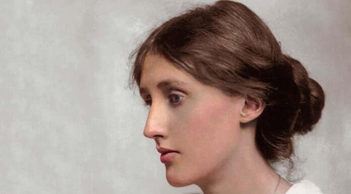 Ayollar uchun kasblar