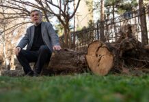 Xurshid Davron haqida ikki esse