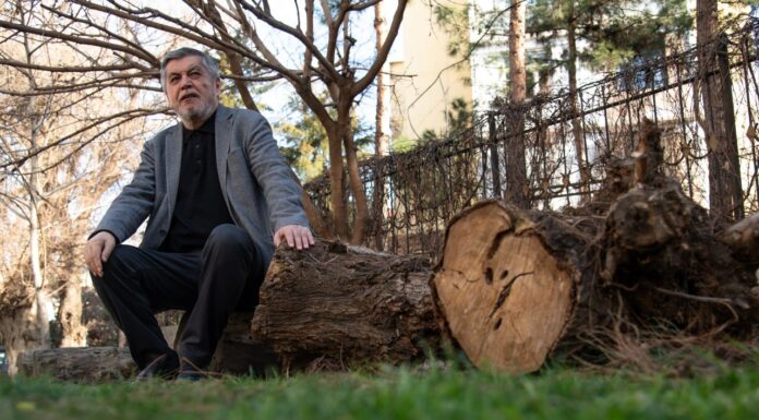 Xurshid Davron haqida ikki esse