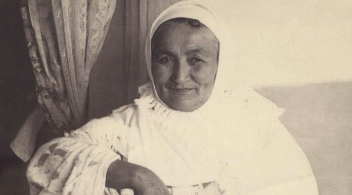 Ummon yuzidagi cho‘p